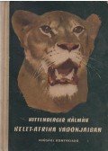 Kittenberger Kálmán - Kelet-Afrika vadonjaiban