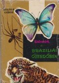 Molnár Gábor - Kalandok a brazíliai őserdőben