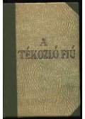 Eschstruth Nathália - A tékozló fiú