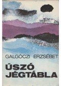Galgóczi Erzsébet - Úszó jégtábla