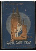 Hünermann, Wilhelm - Rajna-parti dóm