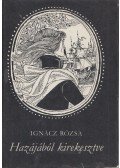 Ignácz Rózsa - Hazájából kirekesztve