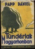 Papp Dániel - Tündérlak Magyarhonban