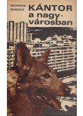 Szamos Rudolf - Kántor a nagyvárosban