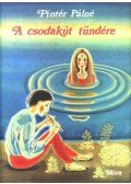 Pintér Pálné - A csodakút tündére