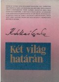 Kállai Gyula - Két világ határán