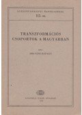 Horváth Katalin - Transzformációs csoportok a magyarban