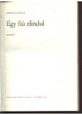 László Gyula - Egy fiú elindul