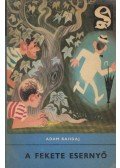 Bahdaj, Adam - A fekete esernyő