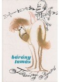 Bárány Tamás - Félszárnyú pegazus