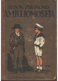 Sebők Zsigmond - A milliomos fia