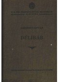 Bársony István - Délibáb