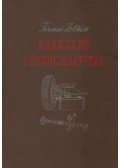 Ternai Zoltán - Korszerű gépkocsijavítás