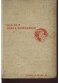 Temesy Győző - Sasok országában