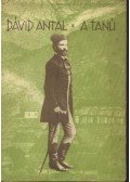 Dávid Antal - A tanú