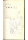 Dénes Zsófia - Zrínyi Ilona