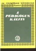Dékány Endre - A pedagógus Kálvin