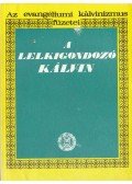 Gyökössy Endre - A lelkigondozó Kálvin
