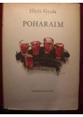 Illyés Gyula - Poharaim