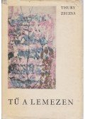 Thury Zsuzsa - Tű a lemezen