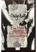 Csalog Zsolt - Egy téglát én is letettem