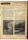 Berczik Árpád - Hidrobiológiai vizsgálatok a Hámori-tavon