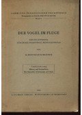 Kirchner, Heinrich dr. - Der Vogel im Fluge