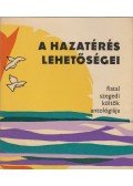 Vörös László - A hazatérés lehetőségei
