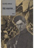 Illyés Gyula - Tűz vagyok...