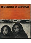 Dömötör János - Kurucz D. István festőművész kiállítása
