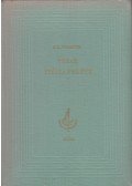 Voynich, Ethel Lilian - Vihar Itália felett
