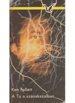 Ken Follett - Tű a szénakazalban Ken Follett - Tű a szénakazalban, Budapest 1984 antikvár könyv