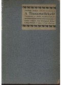 Vadnay Andor - A Tiszamellékről