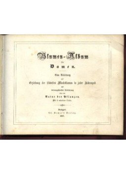 - Blumen-album für damen - Blumen-album für damen, Stuttgart 1857 antikvár könyv
