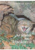 Koroknay István - Az állatok nagy képeskönyve