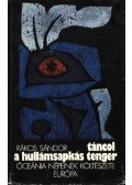 Bodrogi Tibor - Táncol a hullámsapkás tenger