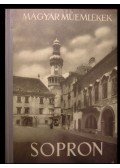 Csatkay Endre - Sopron