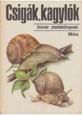 Krolopp Endre - Csigák, kagylók