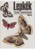 Dr. Kalmár Zoltán - Lepkék