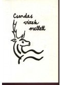 Takács János - Csendes vizek mellett