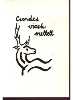 Takács János - Csendes vizek mellett Takács János - Csendes vizek mellett, Hódmezővásárhely 2000 antikvár könyv