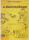 Sintimbreanu, Mircea - A nagyszünet