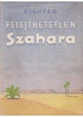 Nikolaus Benjamin Richter - Felejthetetlen Szahara