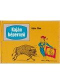 Kaján Tibor - Kaján képernyő