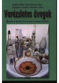 Rigóné Péter Irén,Kovács Éva,Kaposvári Emőke,Kelemen Lívia - Varázslatos üvegek - Síküvegek festése