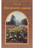 Aebi, Ernst - Rövid bevezetés a Bibliába