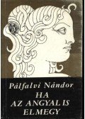 Pálfalvi Nándor - Ha az angyal is elmegy