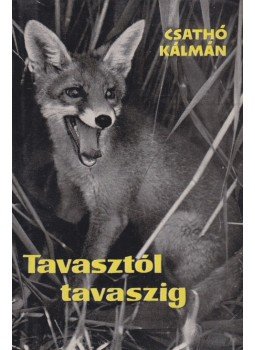 Csathó Kálmán - Tavasztól tavaszig Csathó Kálmán - Tavasztól tavaszig, Budapest 1962 antikvár könyv