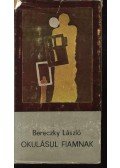 Bereczky László - Okulásul fiamnak