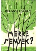 Bulányi György - Merre menjek?
